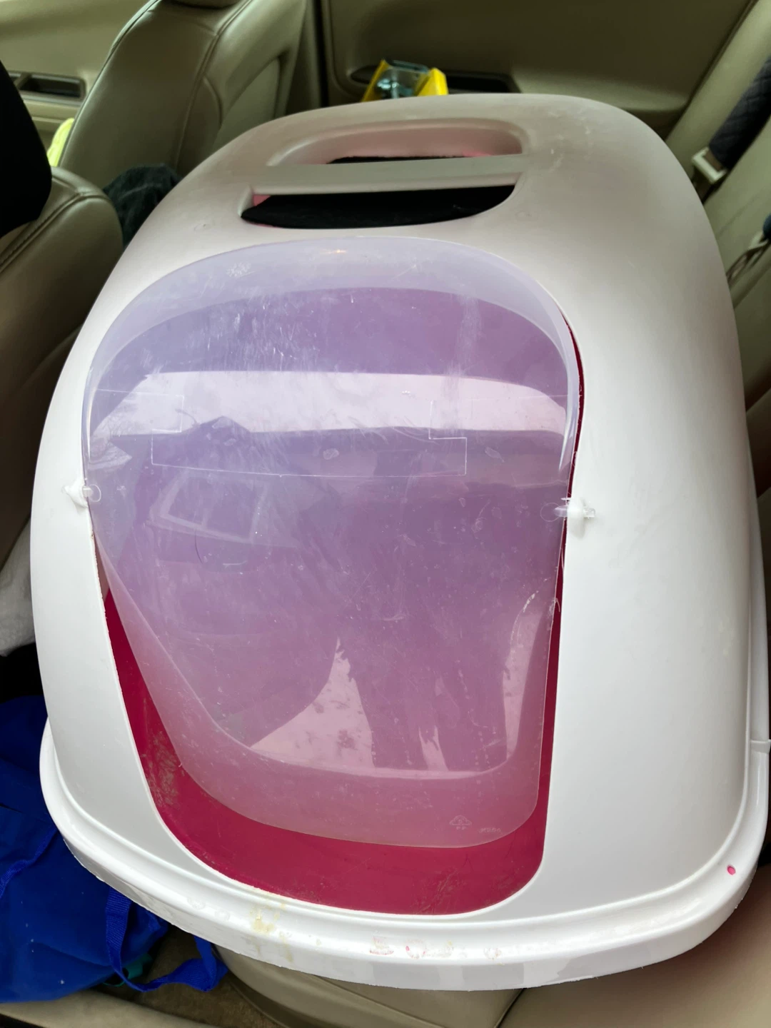 Hooded Cat Litter Box