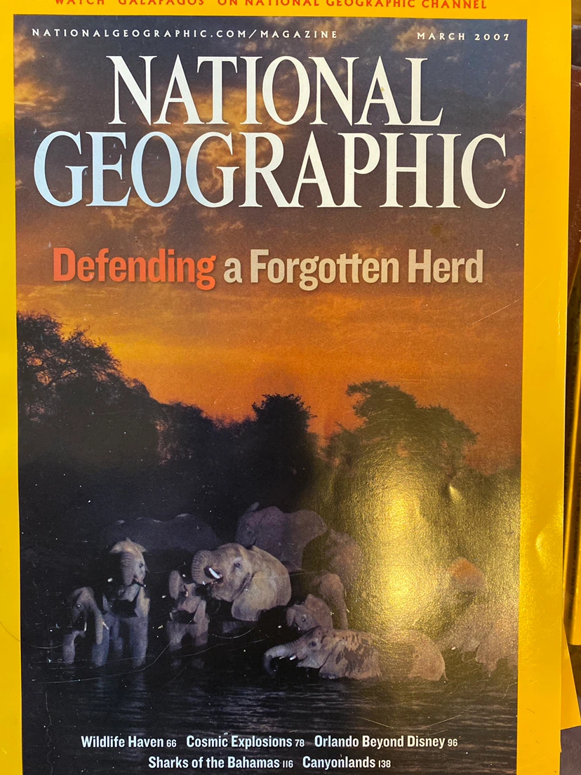 National Geographic Magazines - 5 Issues from 2007 - photo 5