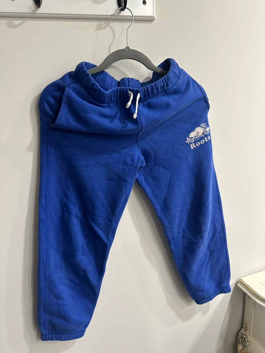 Roots Zip-Up Hoodie and Sweatpants Set - photo 2