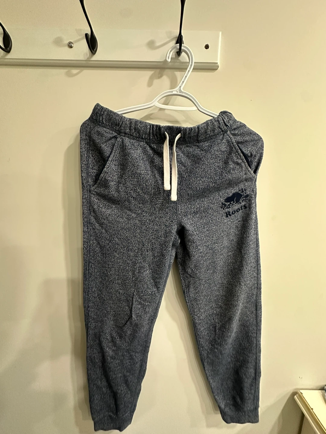 Roots Zip-Up Hoodie and Sweatpants Set - photo 4