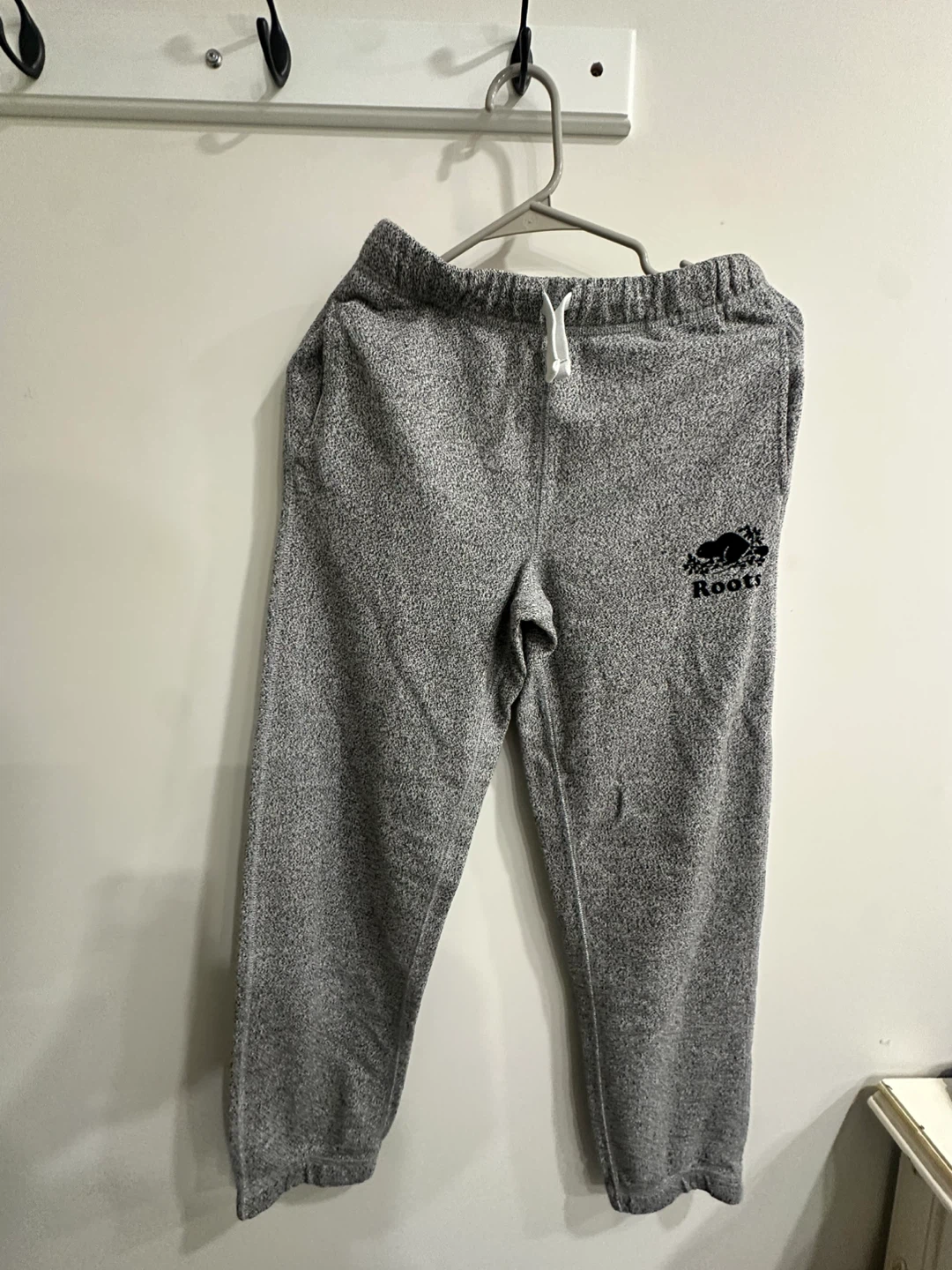 Roots Zip-Up Hoodie and Sweatpants Set - photo 5