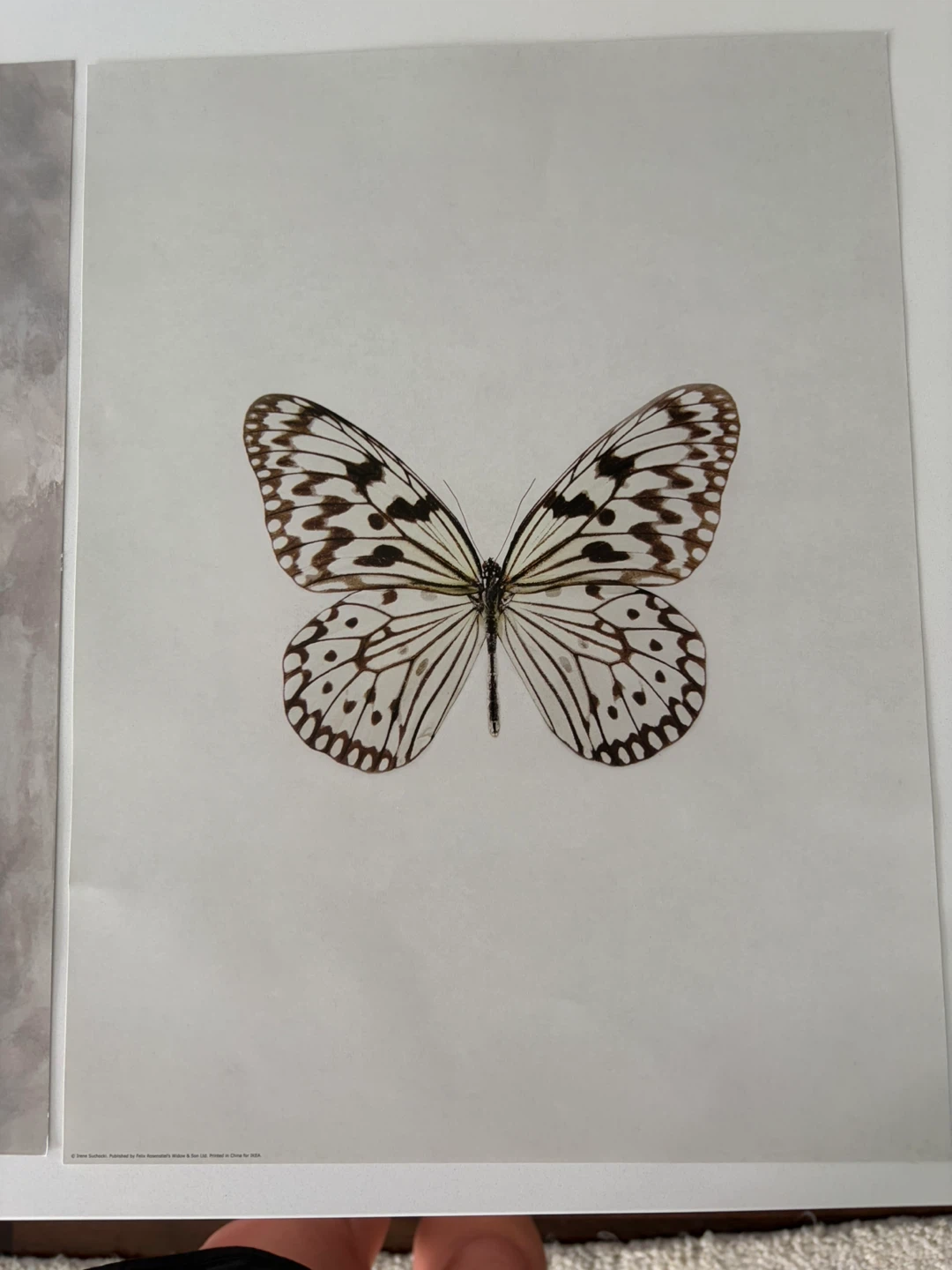 Set of 7 Artistic Prints - IKEA - photo 2