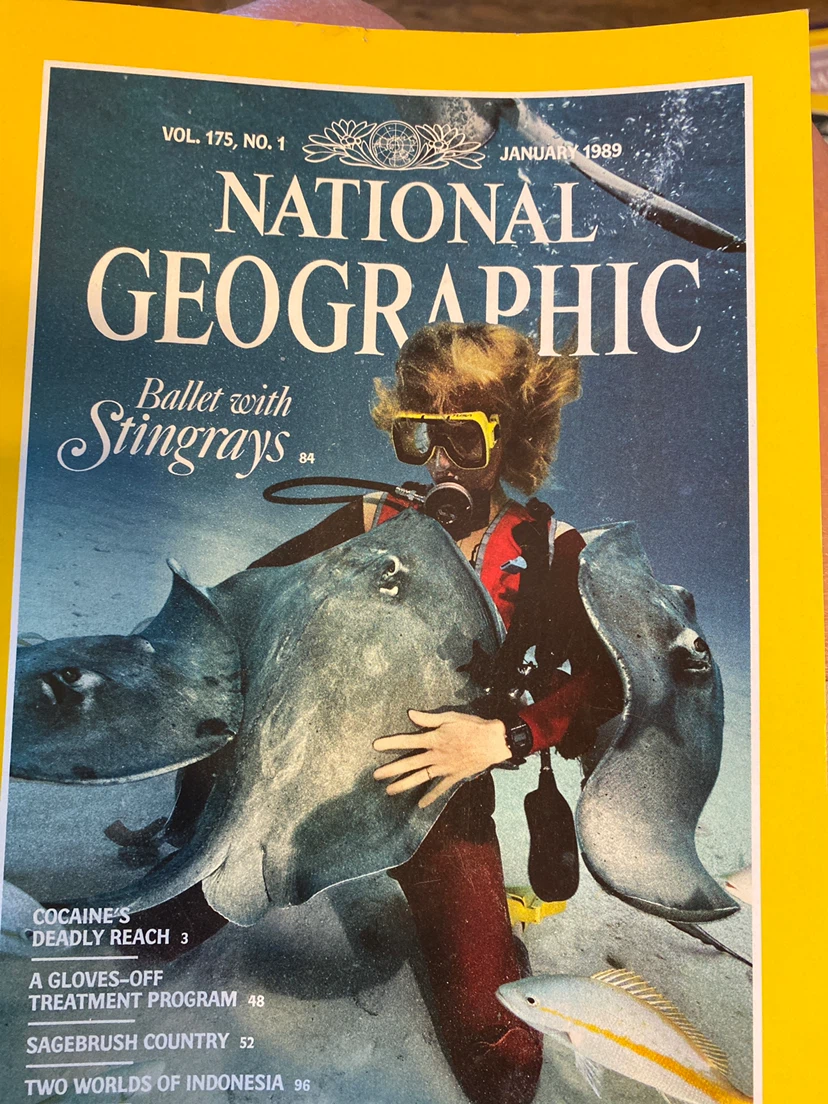 National Geographic Magazines - January to May 1989