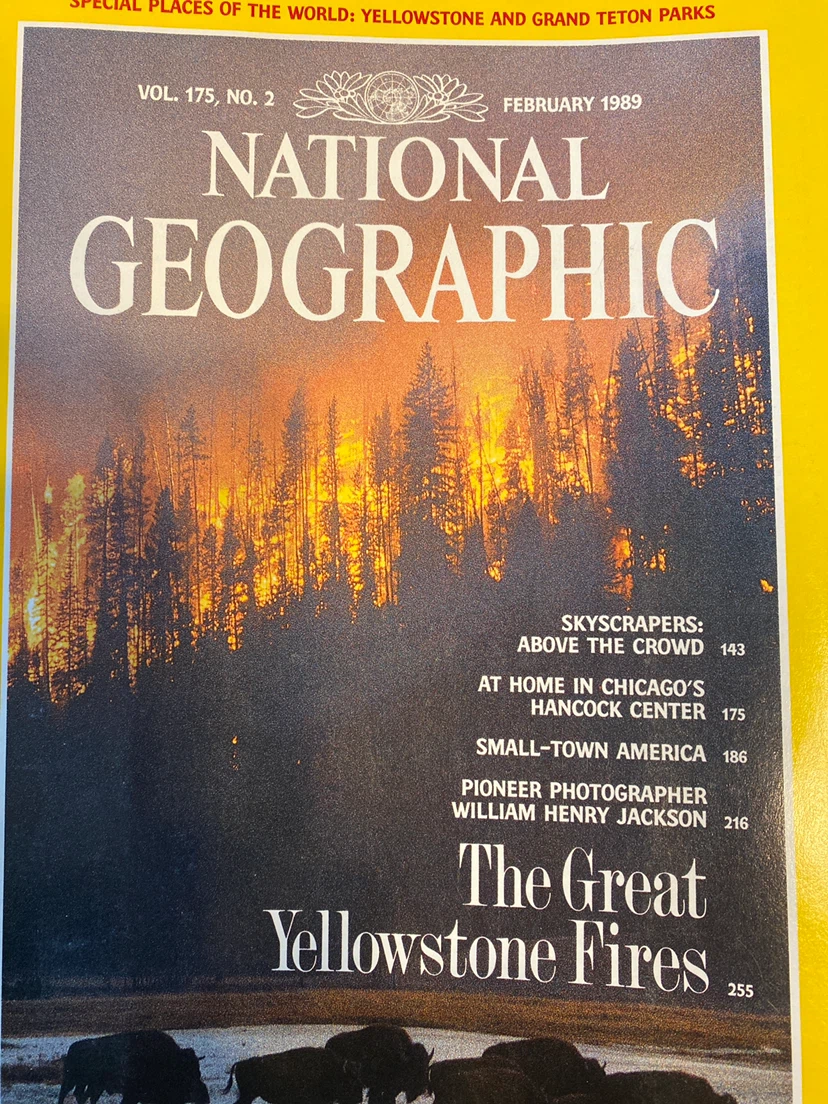 National Geographic Magazines - January to May 1989 - photo 2