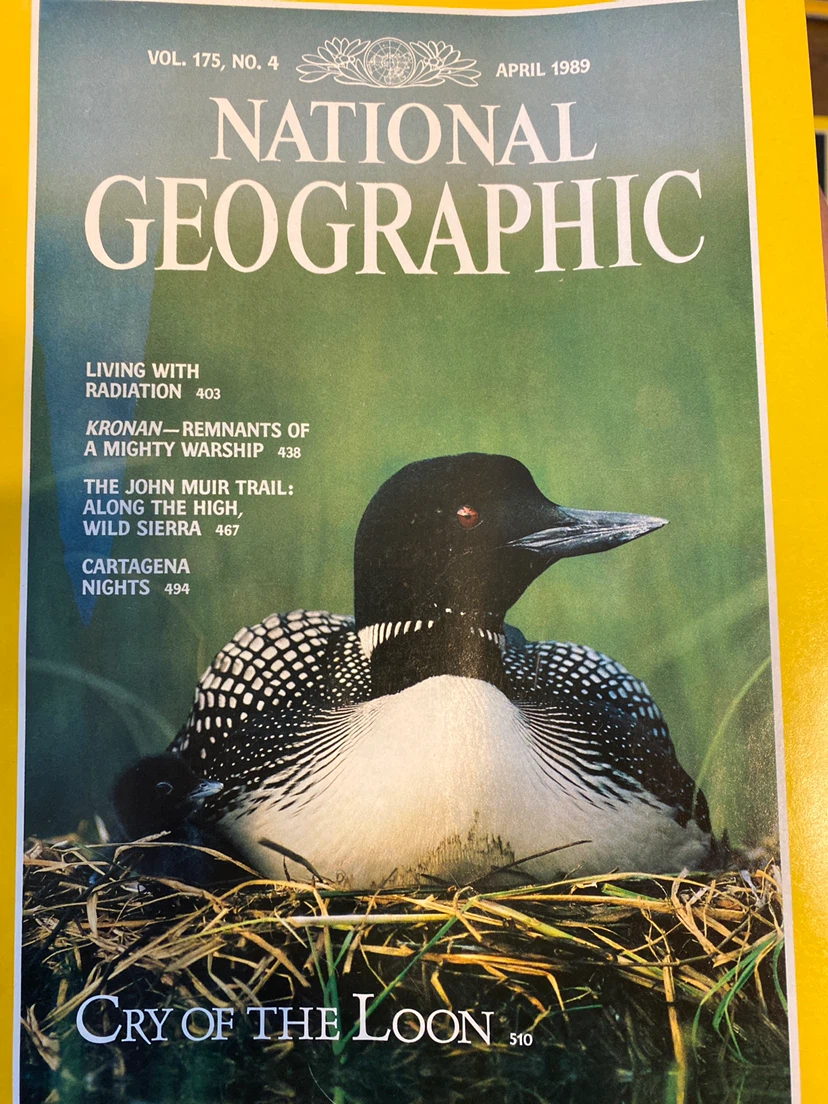 National Geographic Magazines - January to May 1989 - photo 4