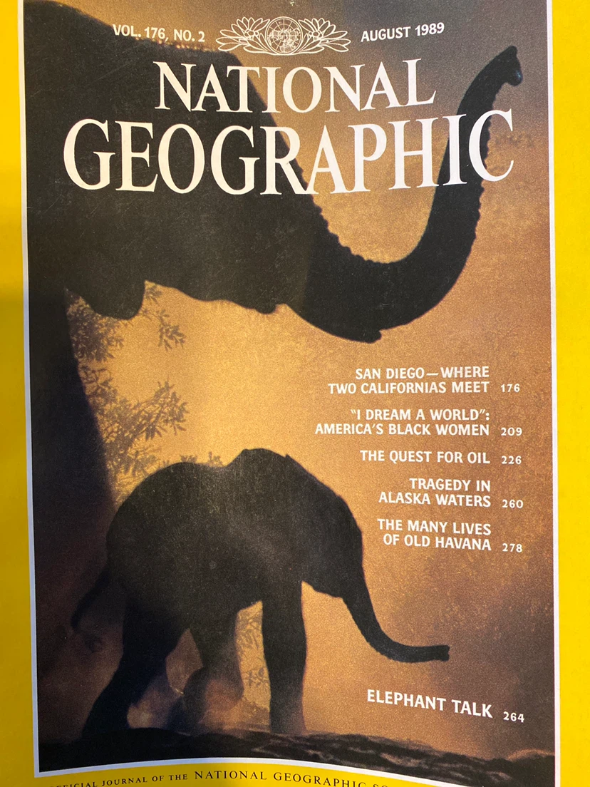 National Geographic Magazine Collection - 1988-1989 - photo 5