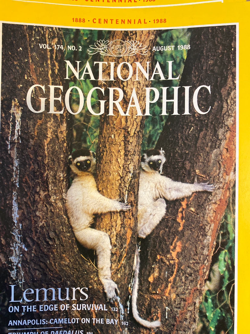 National Geographic Magazines - 1988 Collection - photo 4