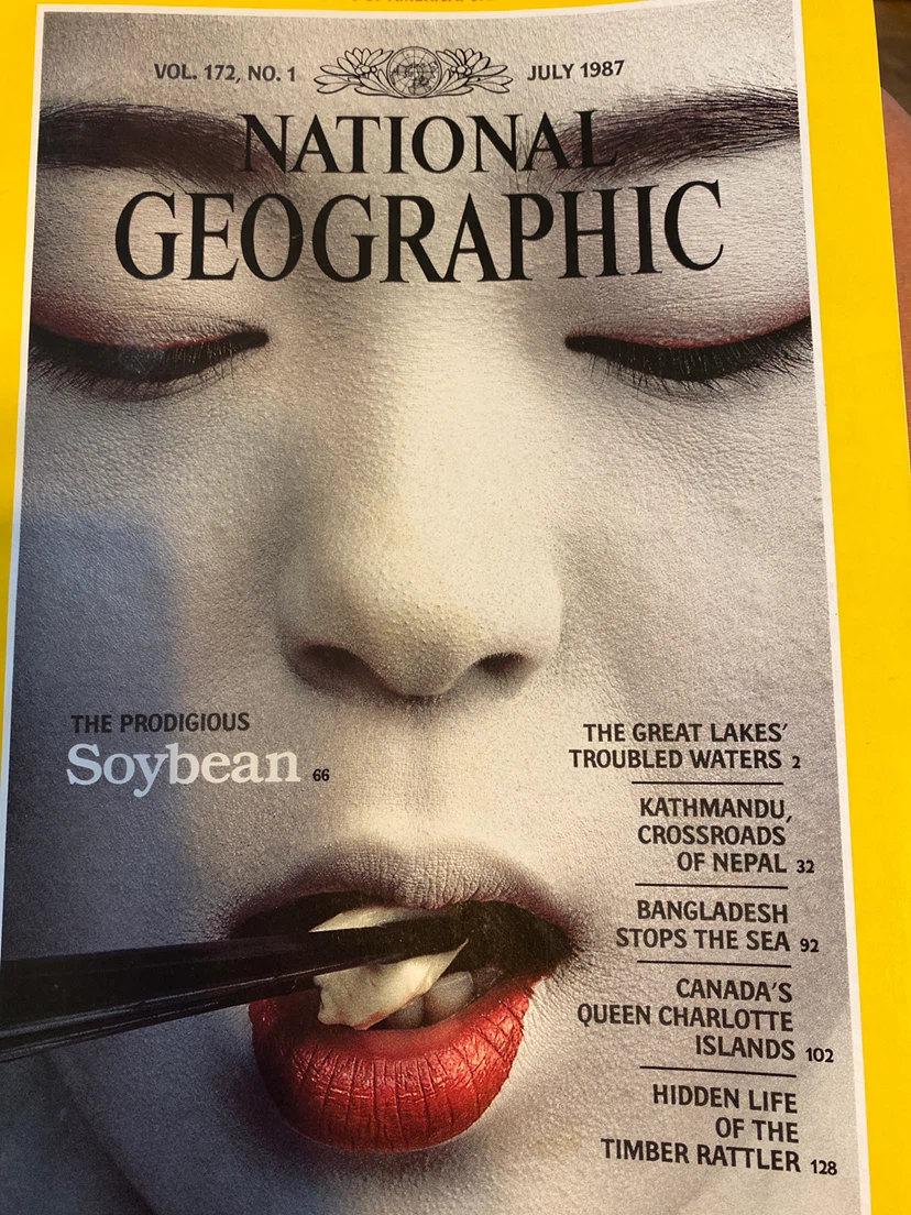 National Geographic Magazines - 1987 Collection