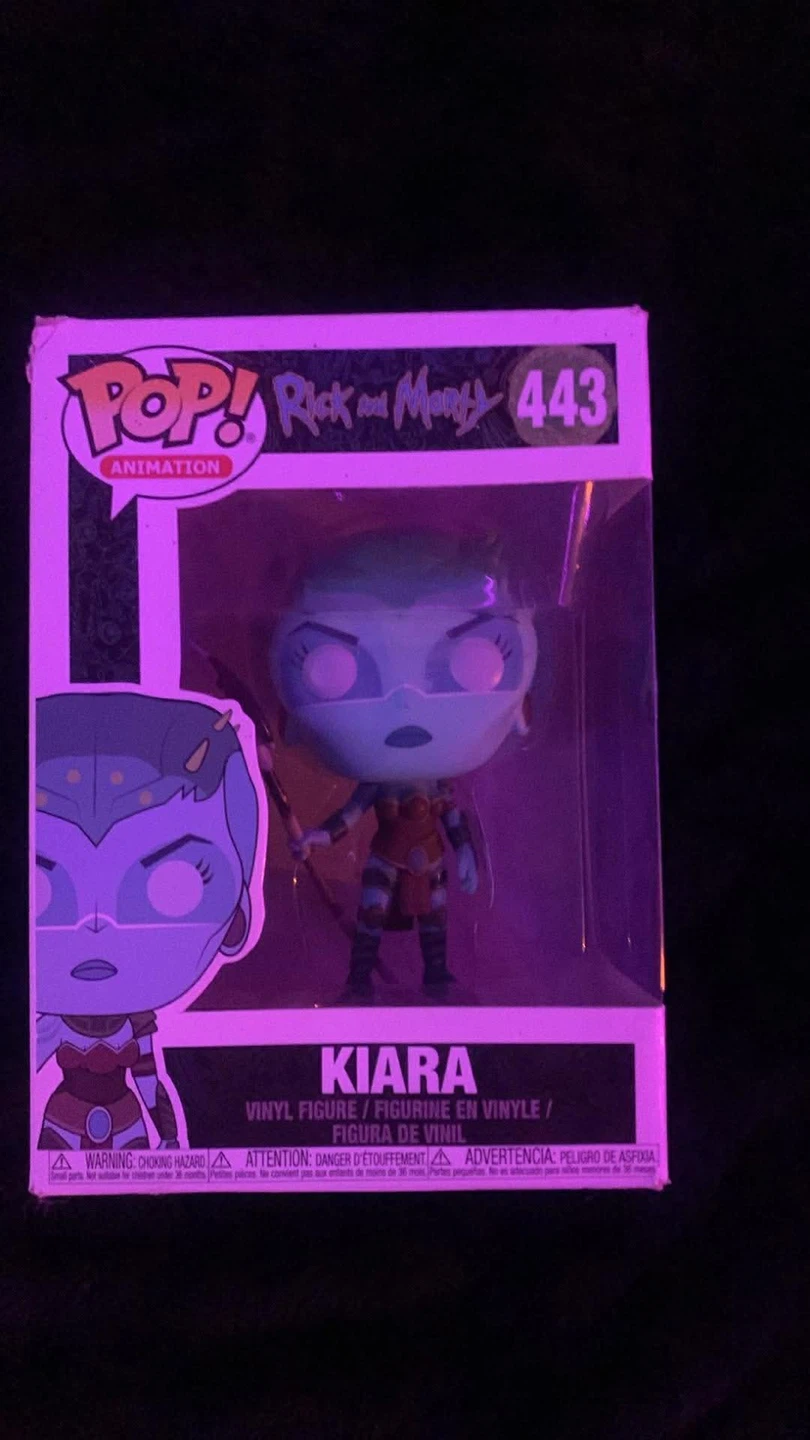 Funko Pop! Rick and Morty Kiara #443