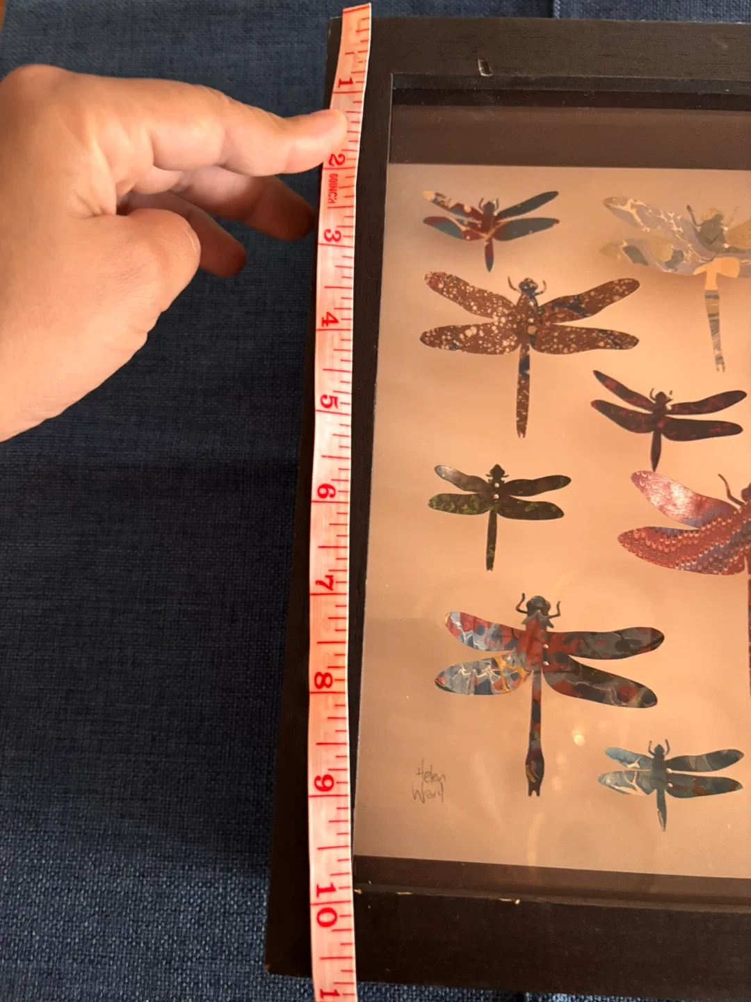 Framed Dragonfly Wall Art by Helen Ward - photo 3