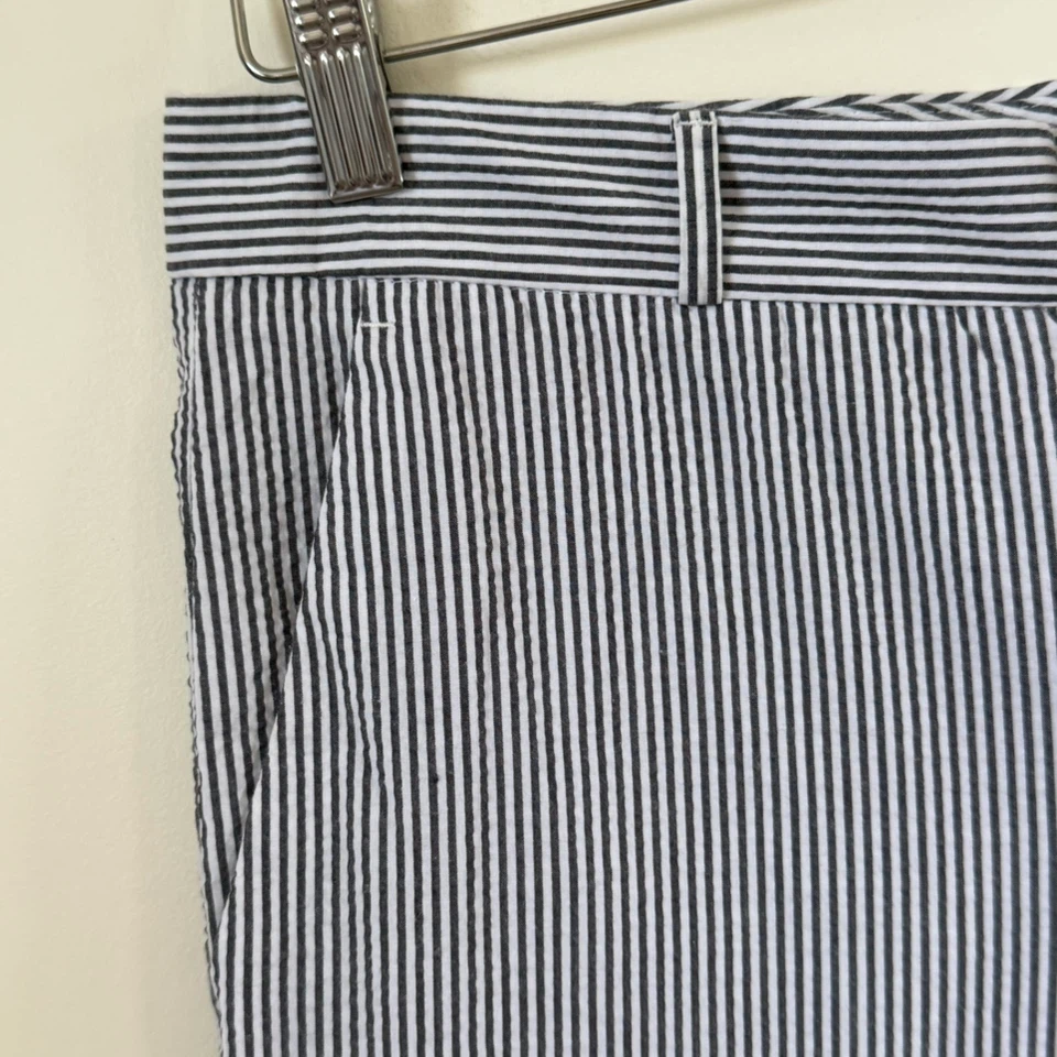 Banana Republic Navy and White Striped Seersucker Ankle Pants - photo 4