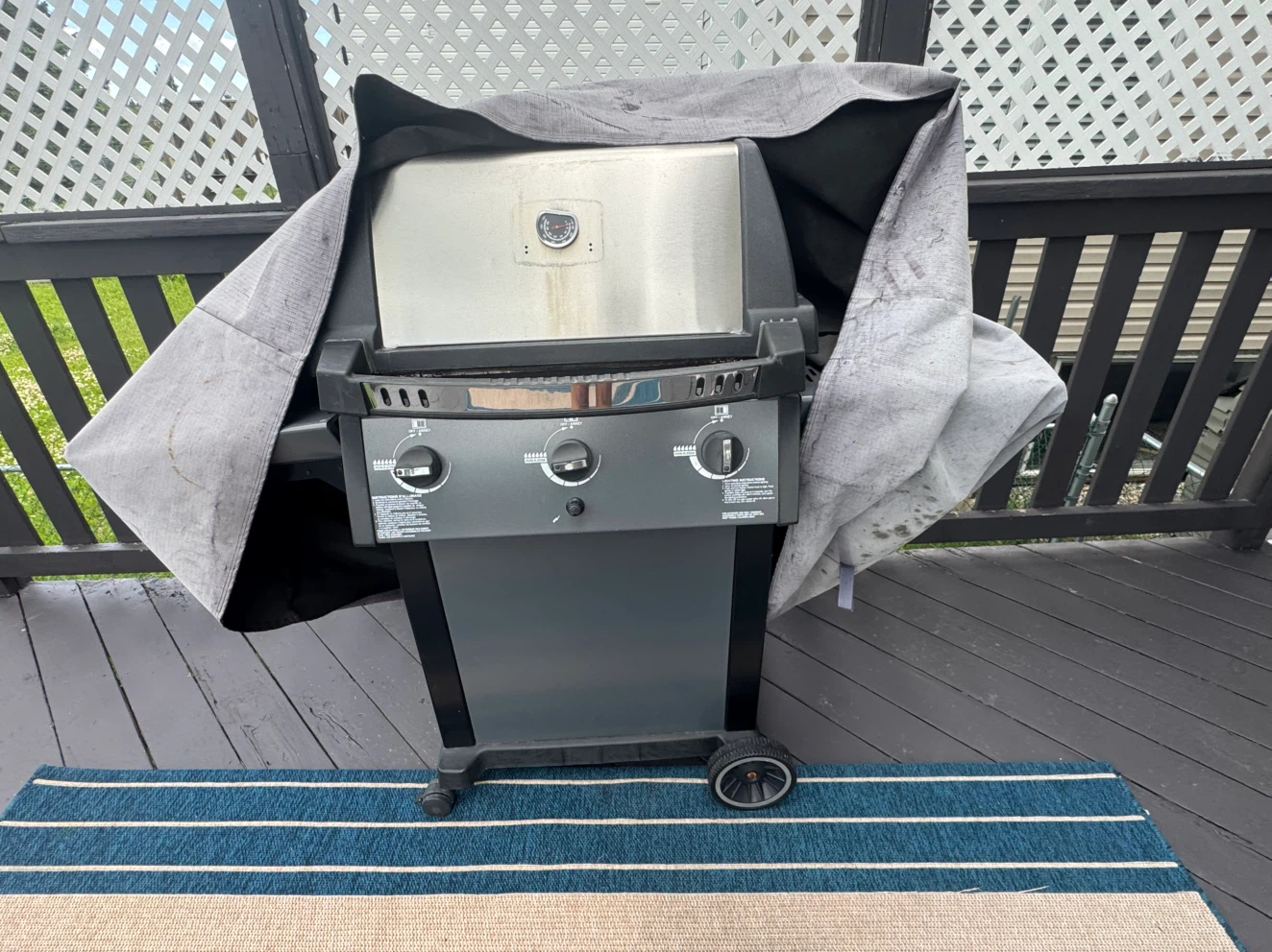 Propane Grill with Cover