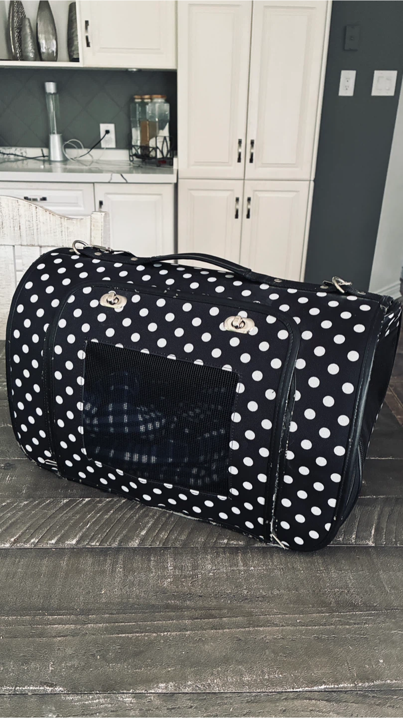 Small pet carrier with soft blanket