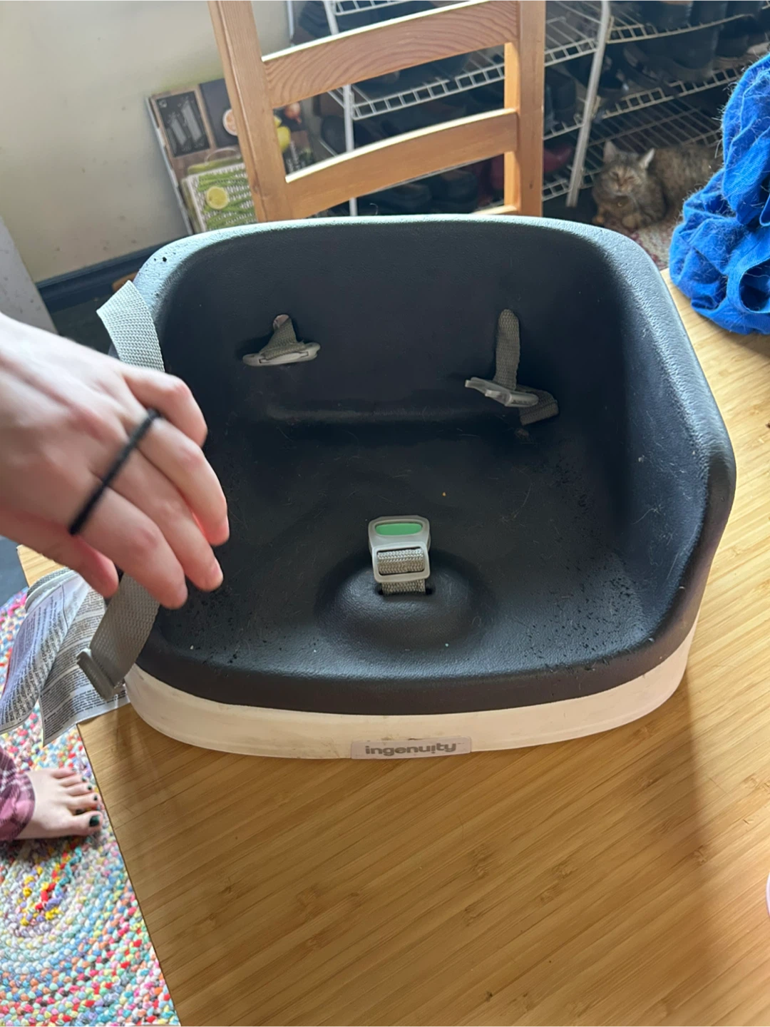 Ingenuity Booster Seat