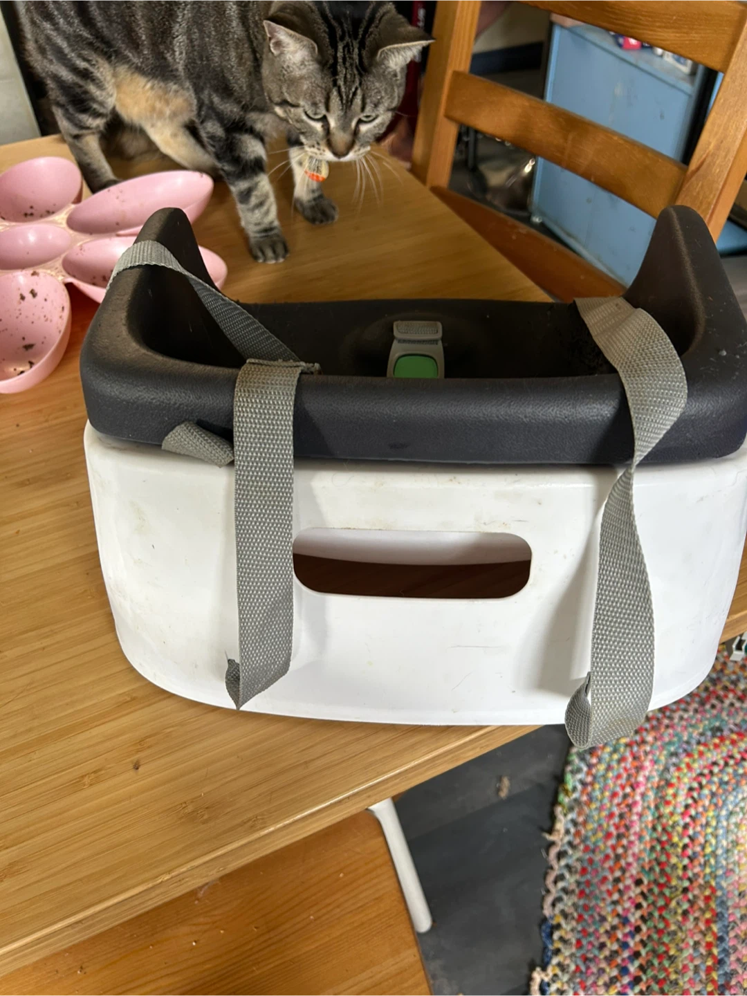 Ingenuity Booster Seat - photo 2