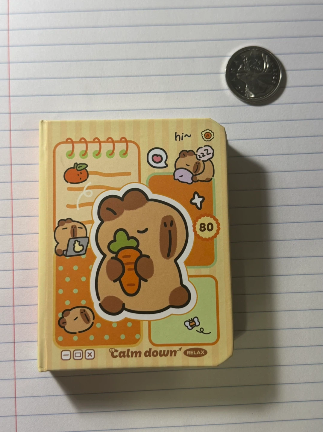 Mini Capybara Blank Sketchbook Notebook