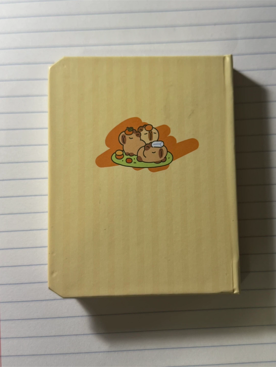 Mini Capybara Blank Sketchbook Notebook - photo 2