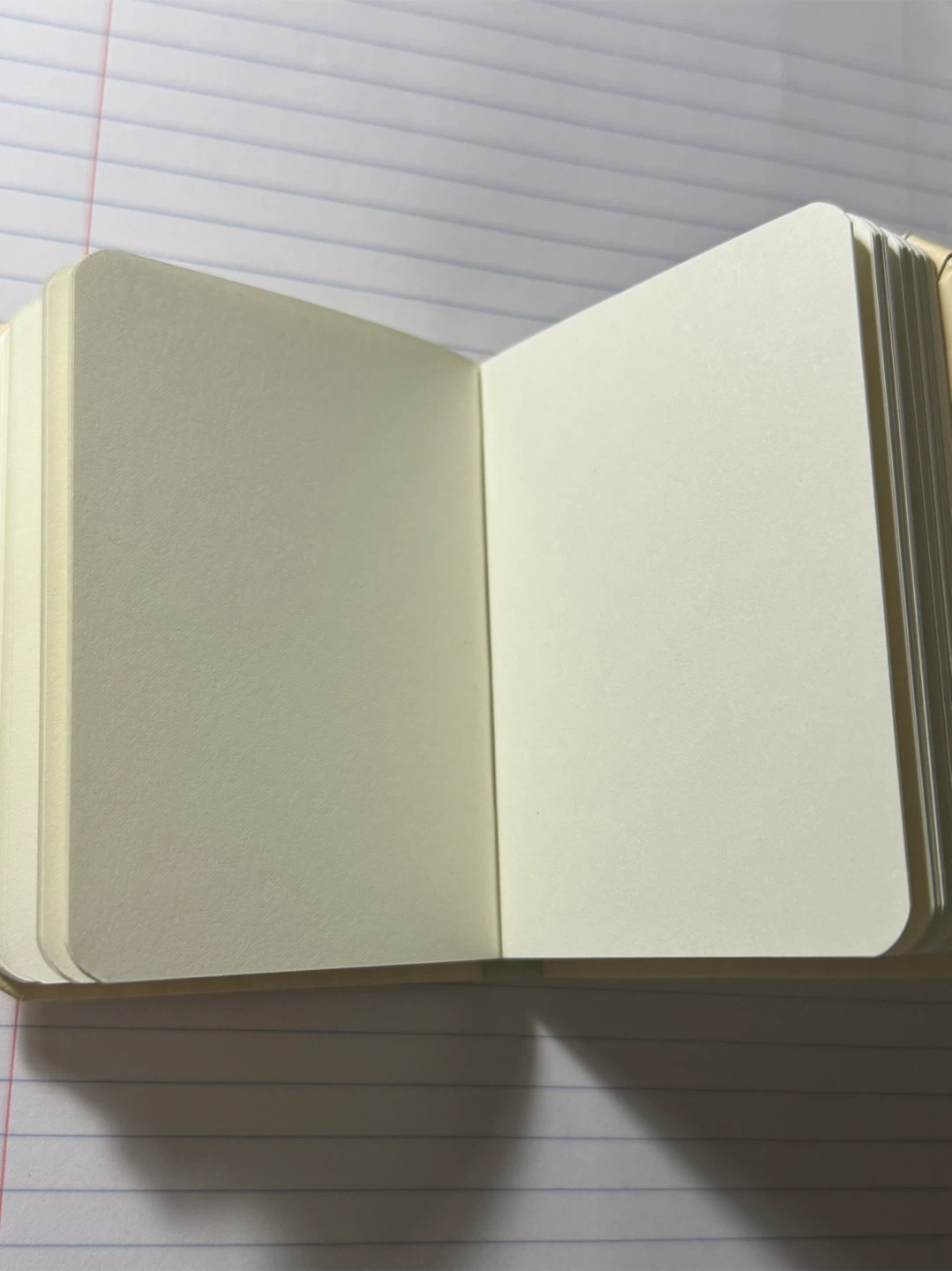 Mini Capybara Blank Sketchbook Notebook - photo 3
