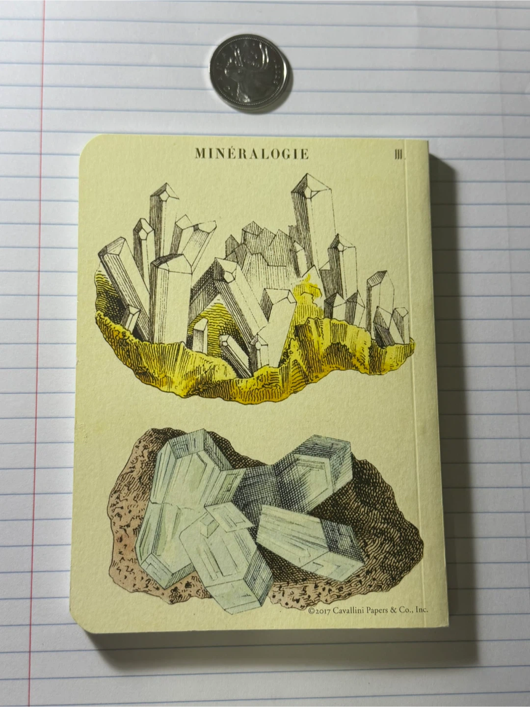 Cavallini Mineralogie Grid Notebook - photo 2