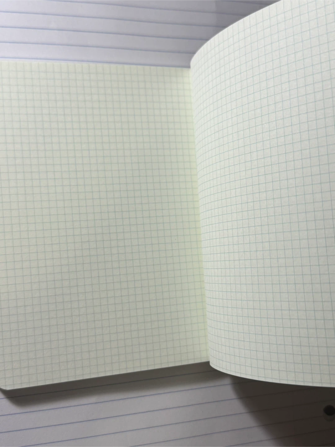 Cavallini Mineralogie Grid Notebook - photo 3