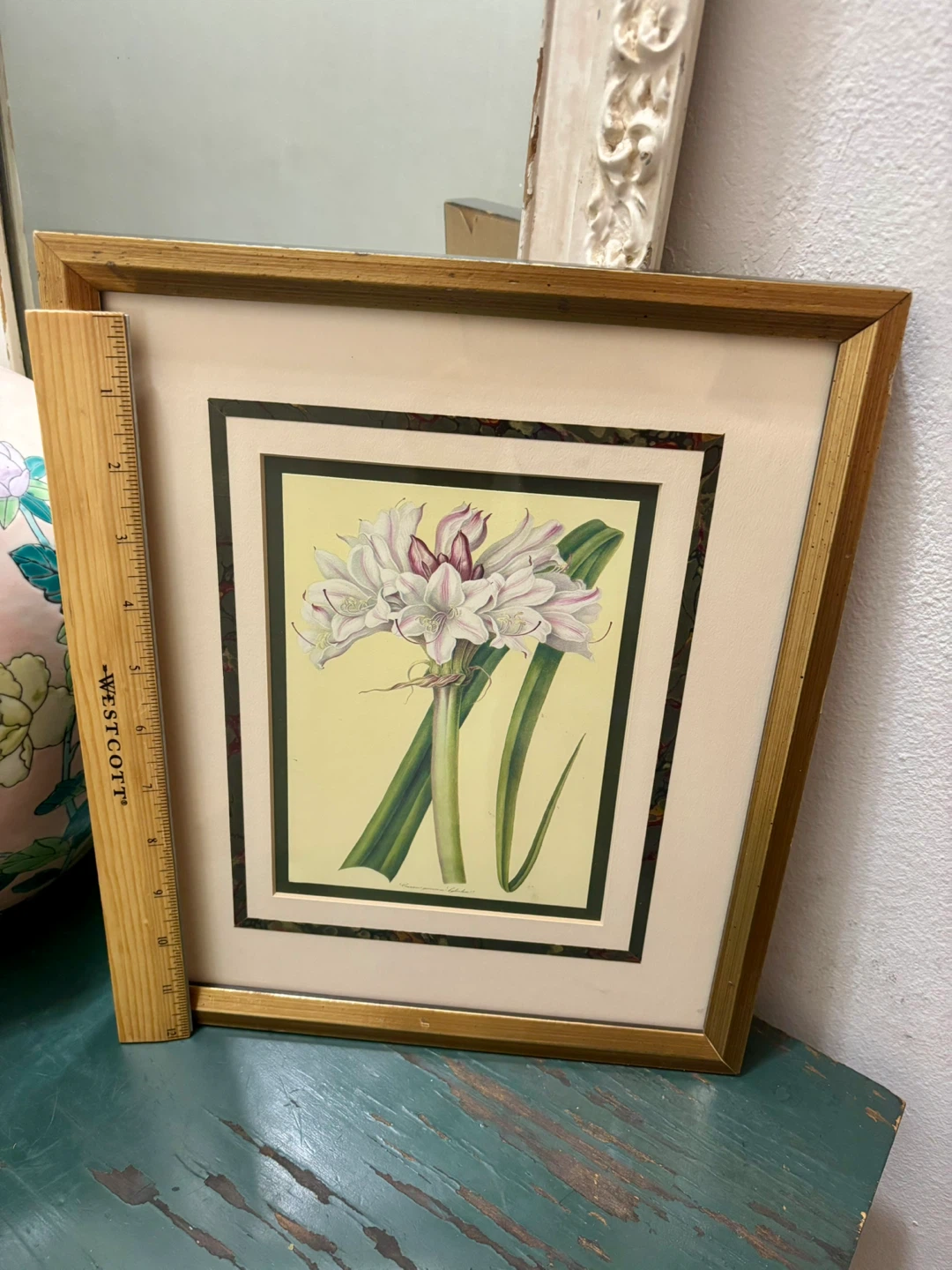 The Metropolitan Museum of Art 1824 Crinum Lily - photo 2