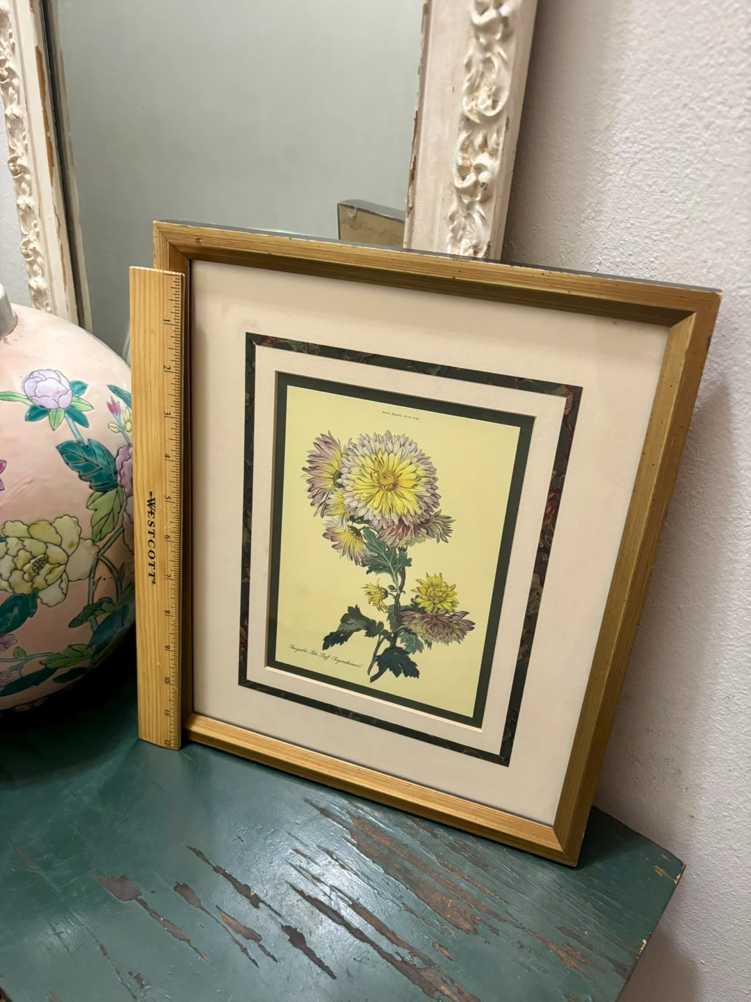 The Metropolitan Museum 1824 Changeable Pale Buff Chrysanthemum - photo 2