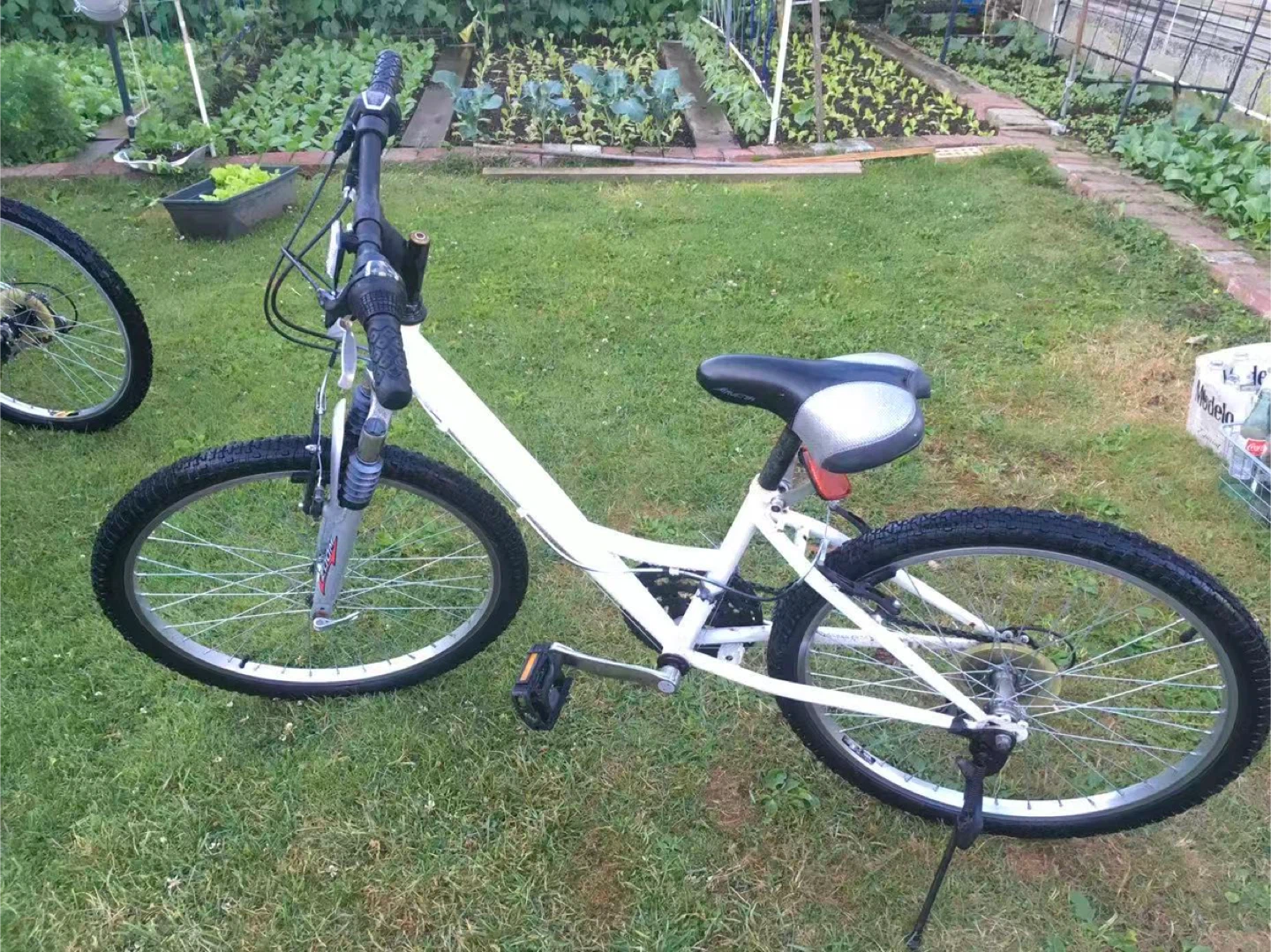 Bikes $50 each