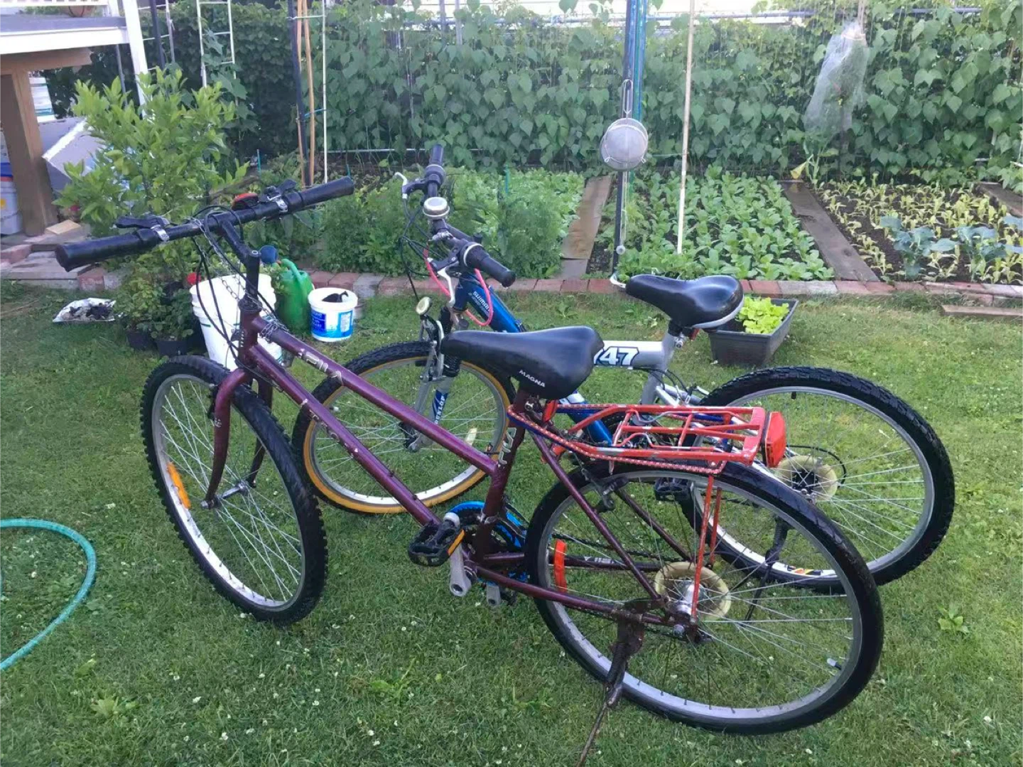 Bikes $50 each - photo 3