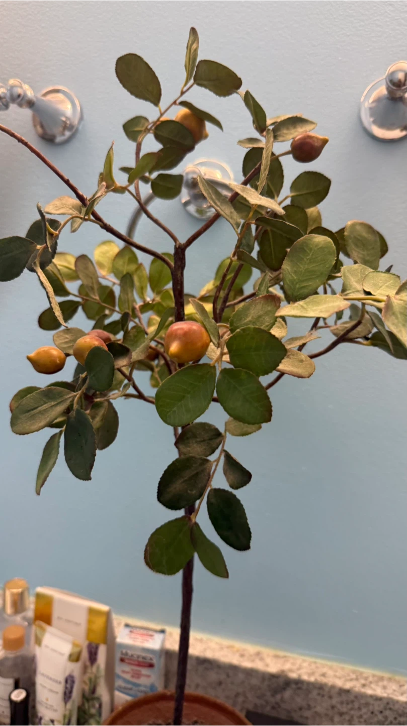 Artificial Potted Tree with Faux Fruit - photo 3
