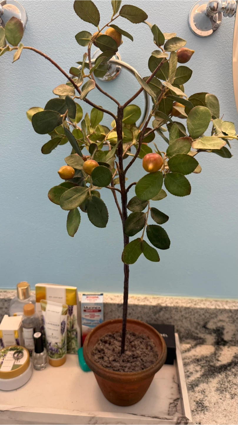 Artificial Potted Tree with Faux Fruit - photo 4