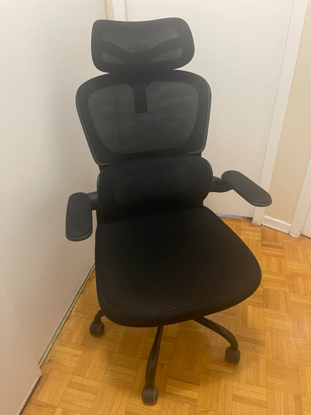 Ergonomic Mesh Office Chair with Headrest