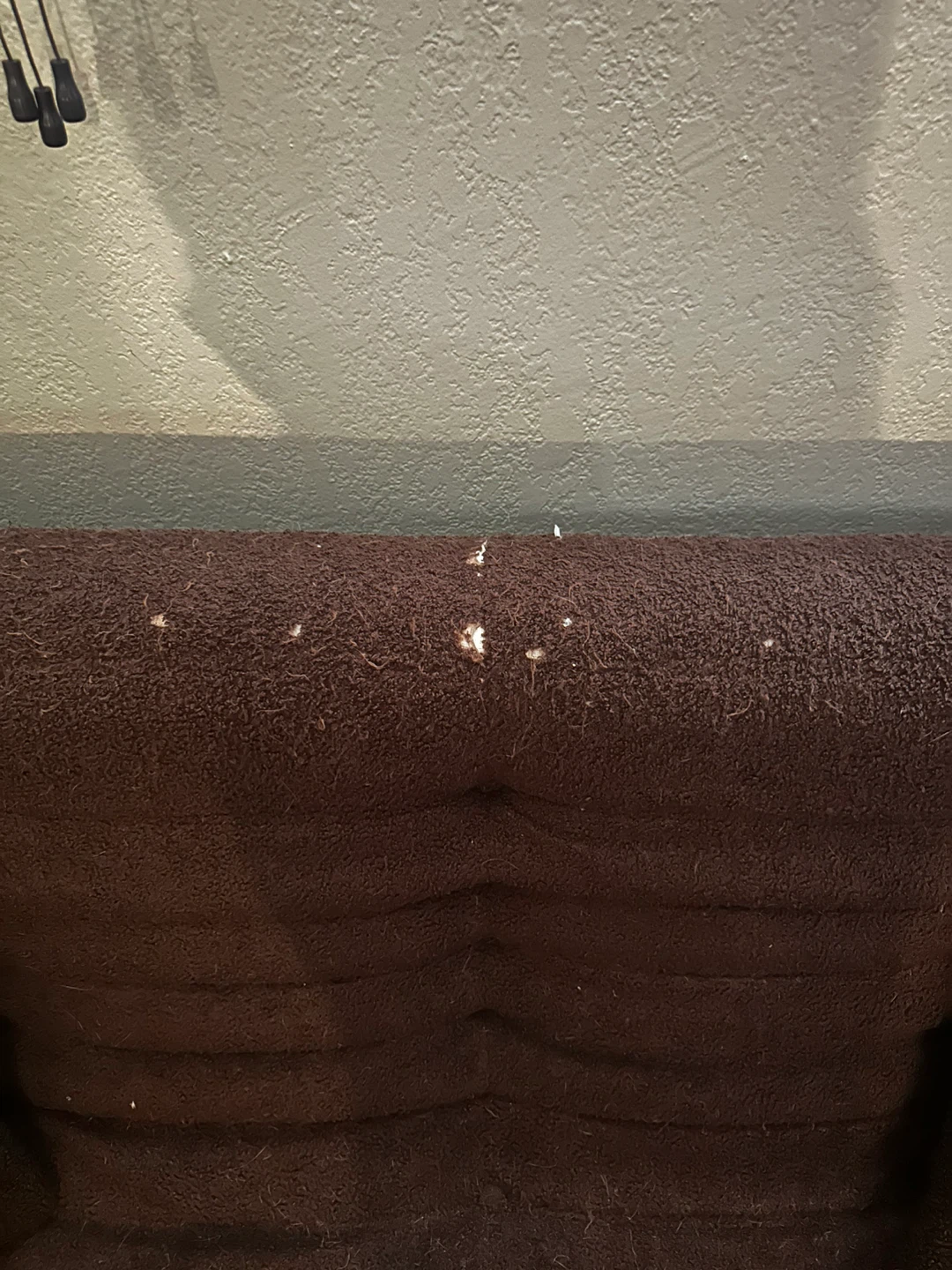 Brown Futon Couch with Pillows - photo 3