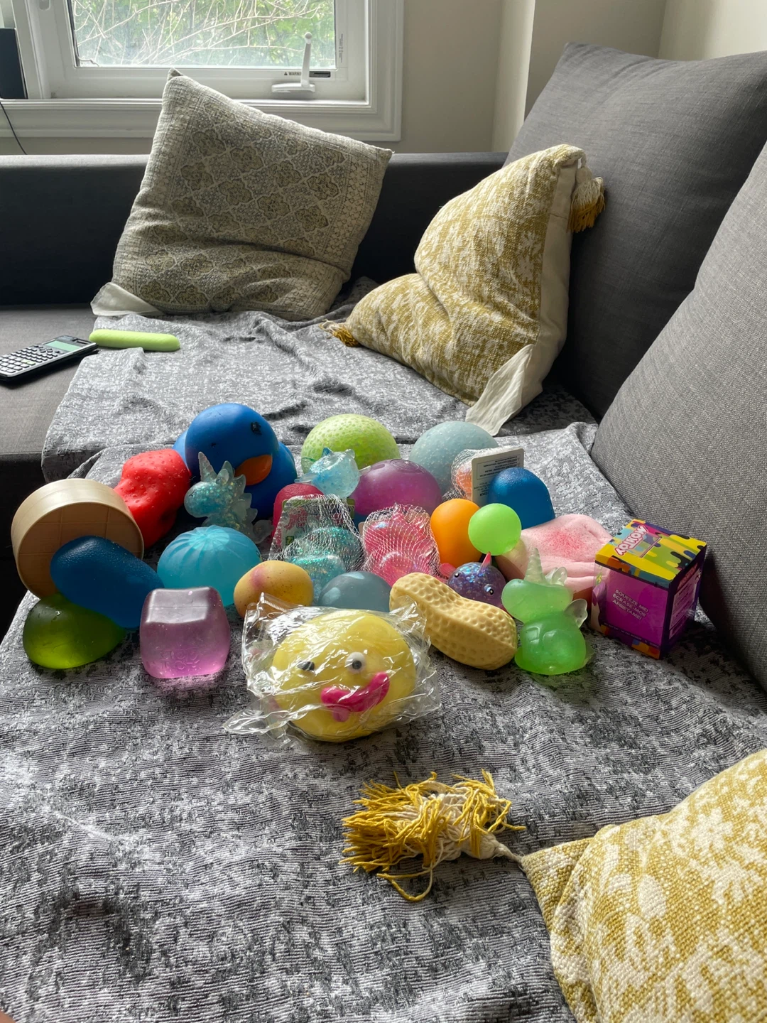Viral squishys