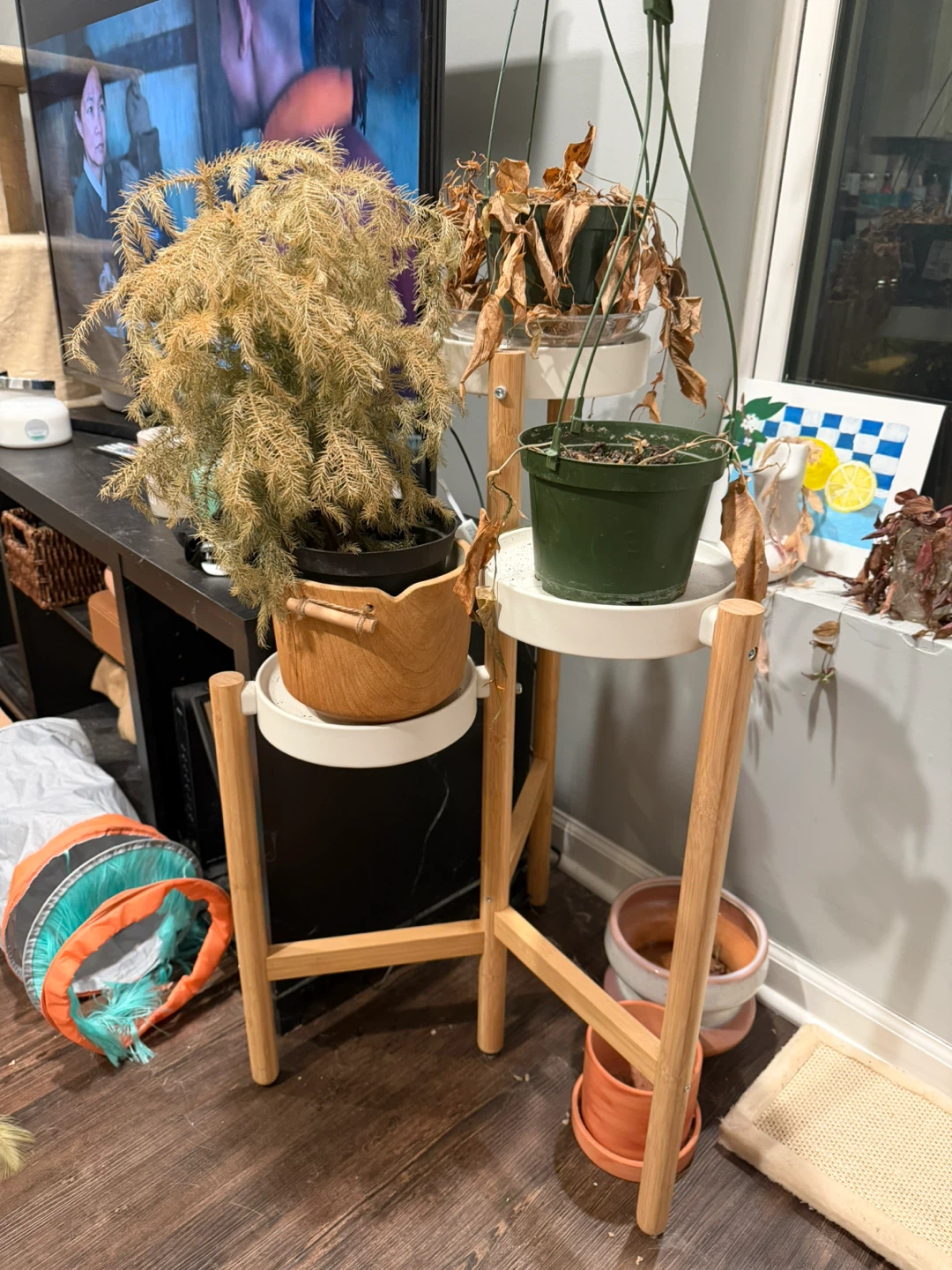 3-Tier Plant Stand