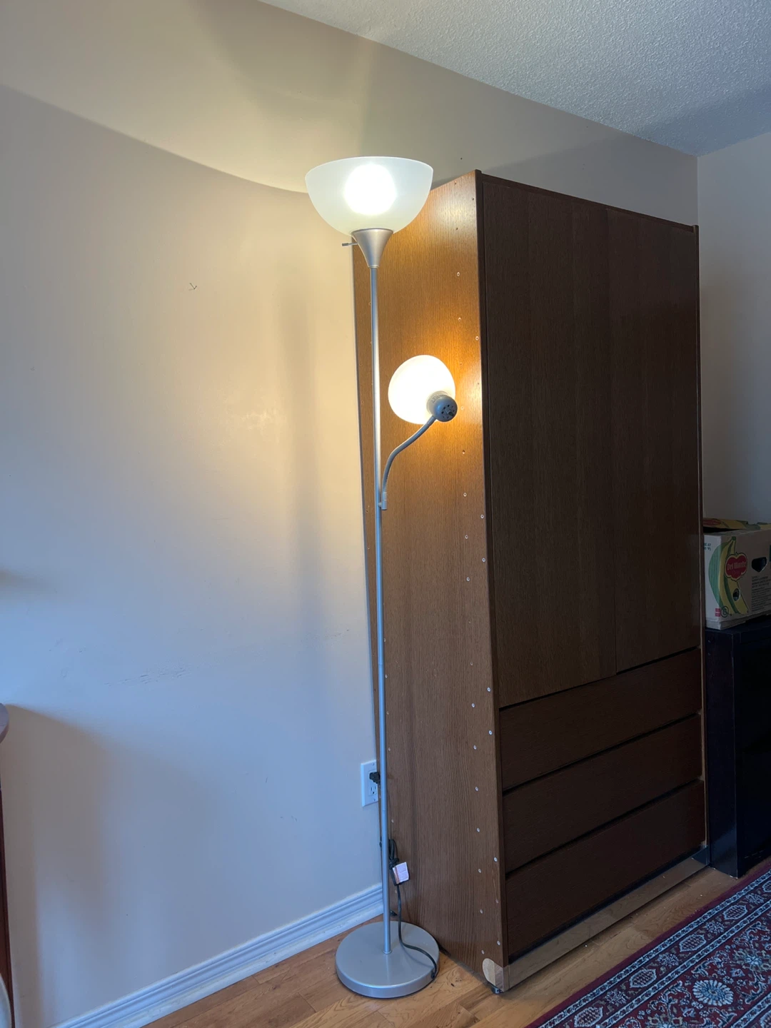 Silver Floor Lamp with Reading Light
