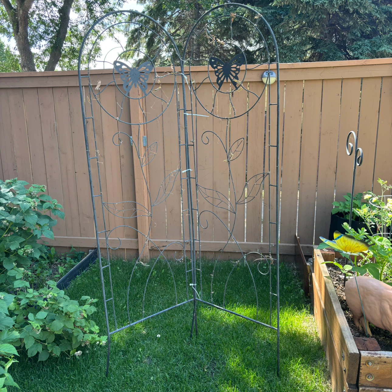 Metal Garden Trellis with Butterfly Design