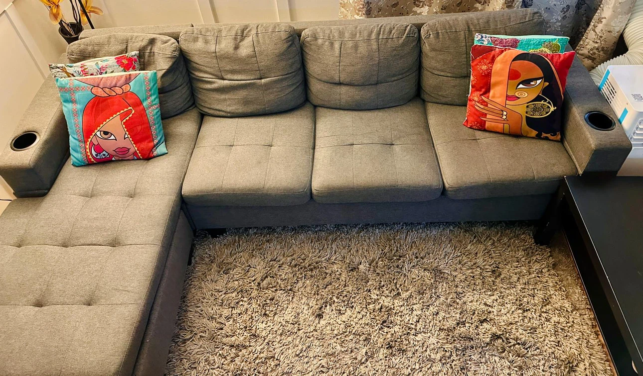 Gray Sectional Sofa + Shag Area Rug – Good Condition