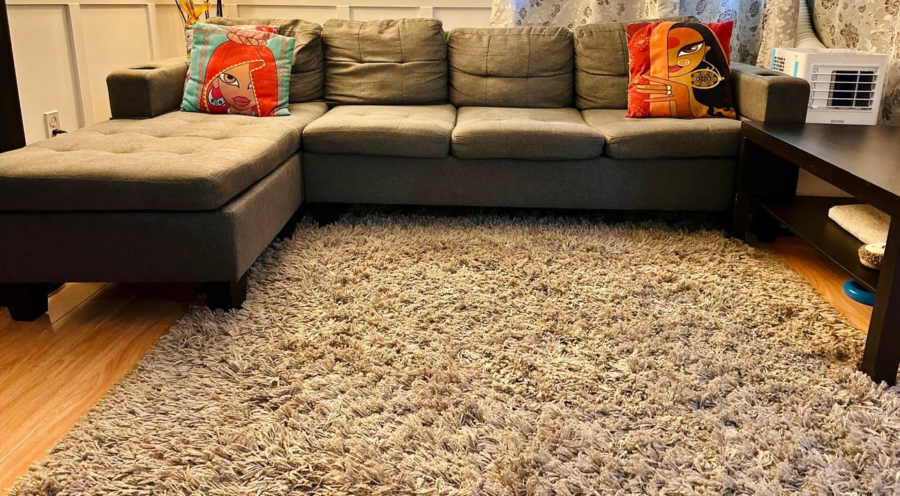 Gray Sectional Sofa + Shag Area Rug – Good Condition - photo 2