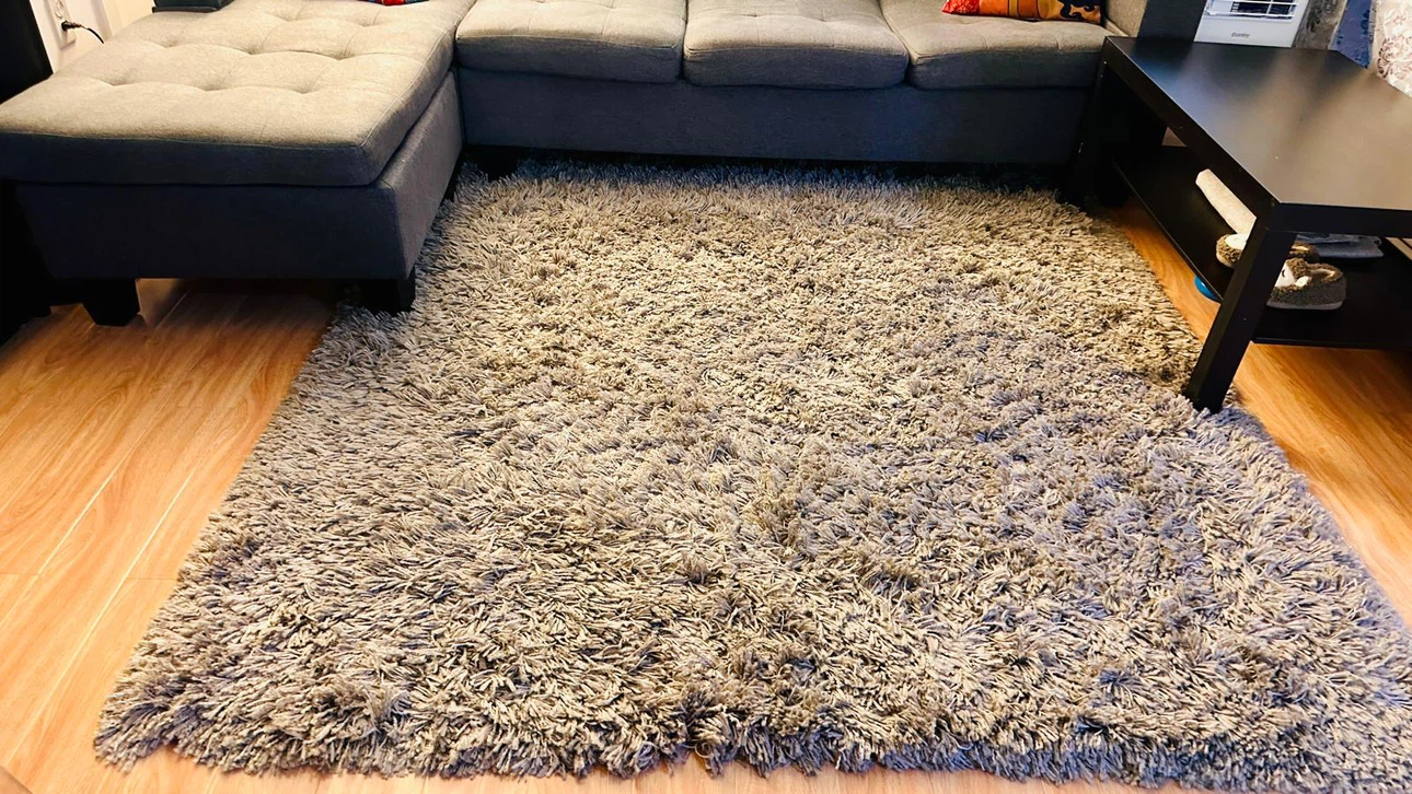 Gray Sectional Sofa + Shag Area Rug – Good Condition - photo 4