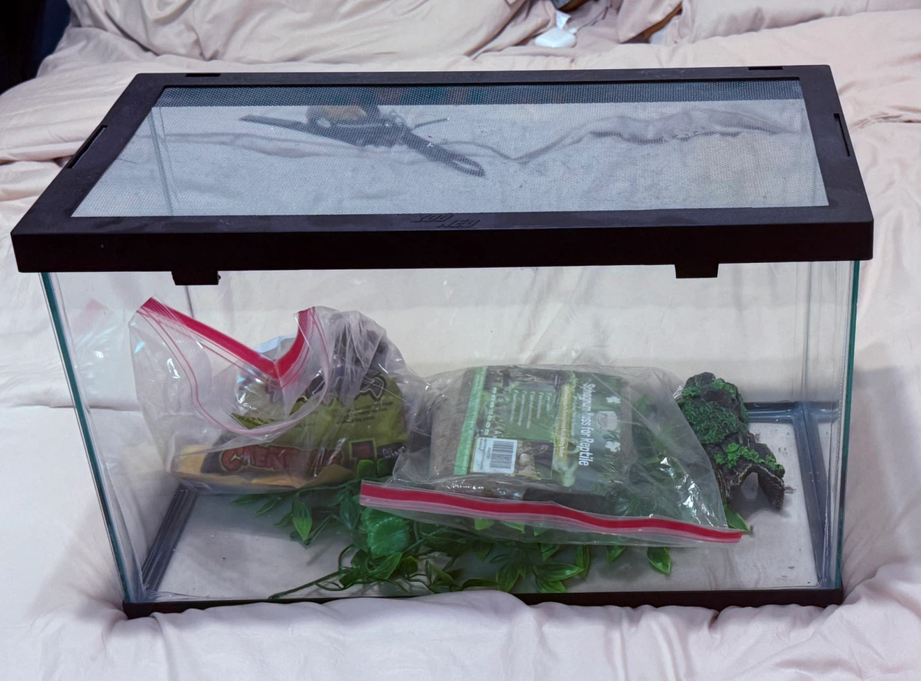 Glass Terrarium Tank - photo 4