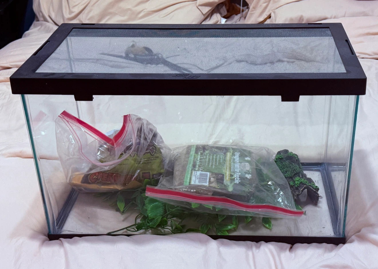 Glass Terrarium Tank