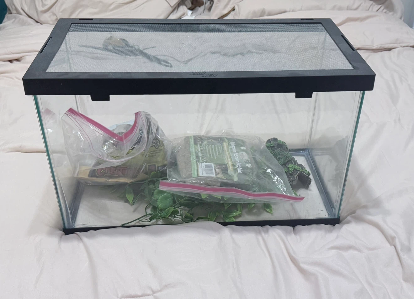 Glass Terrarium Tank - photo 2