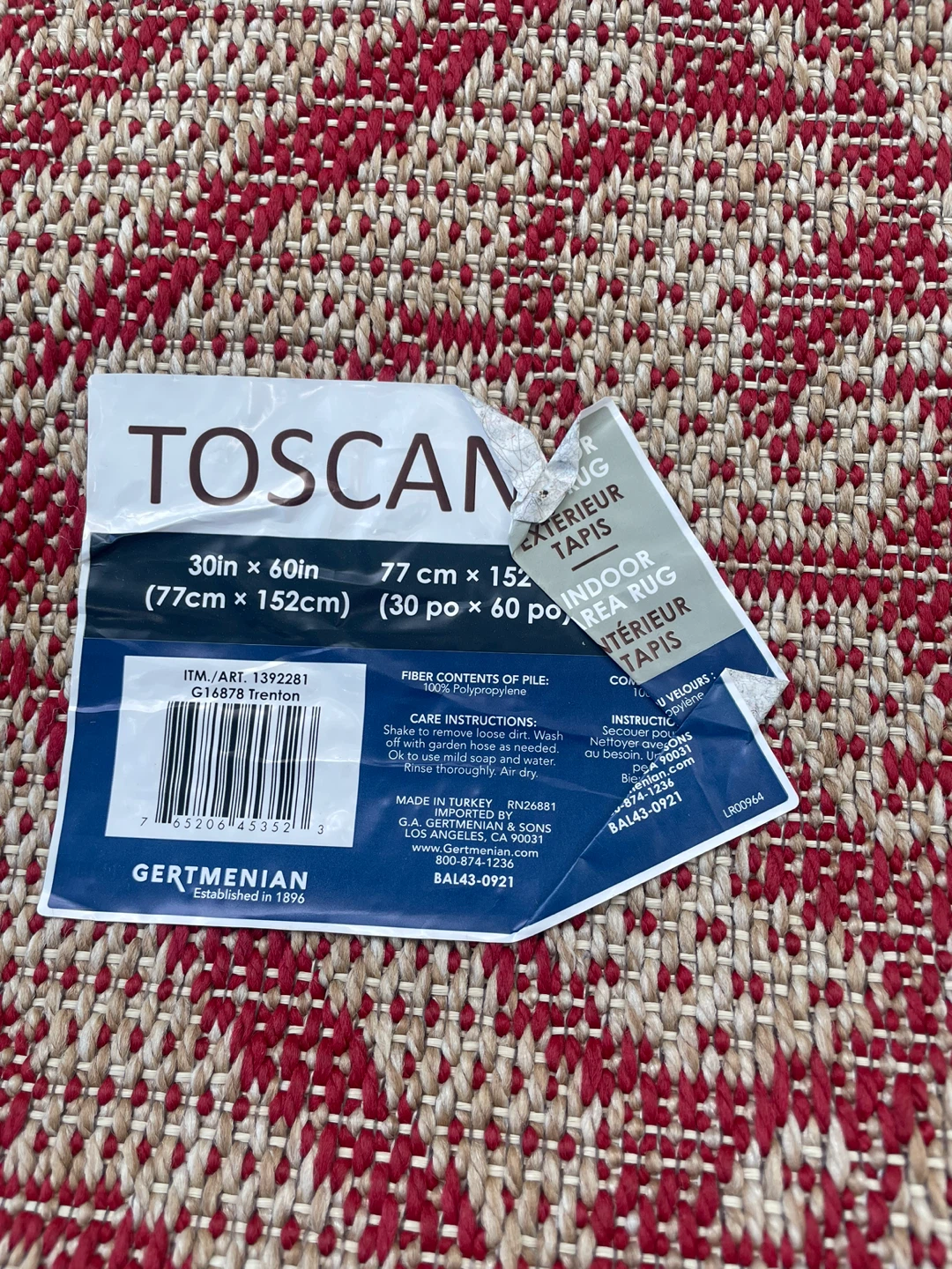 Gorgeous Indoor/Outdoor Rug - 30in x 60in - photo 2