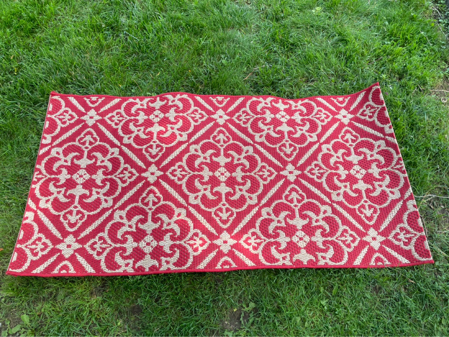 Gorgeous Indoor/Outdoor Rug - 30in x 60in