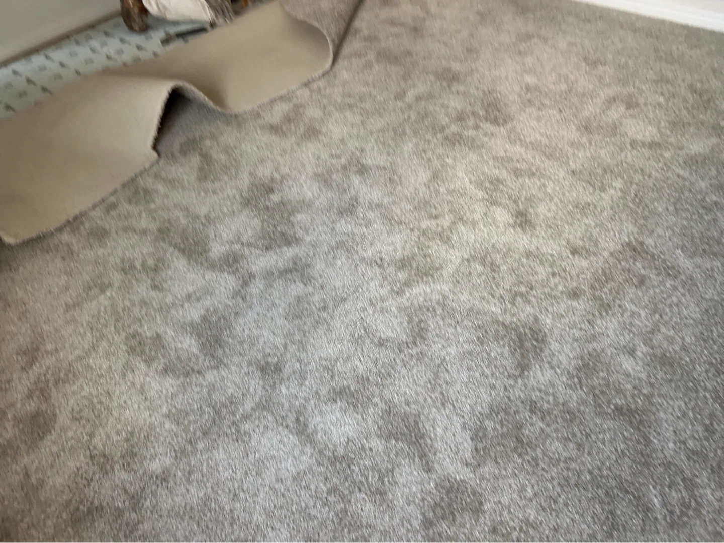 Grey Carpet for Rooms