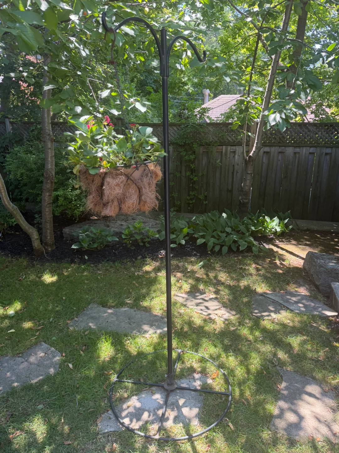 Metal Shepherd's Hook Plant Hanger