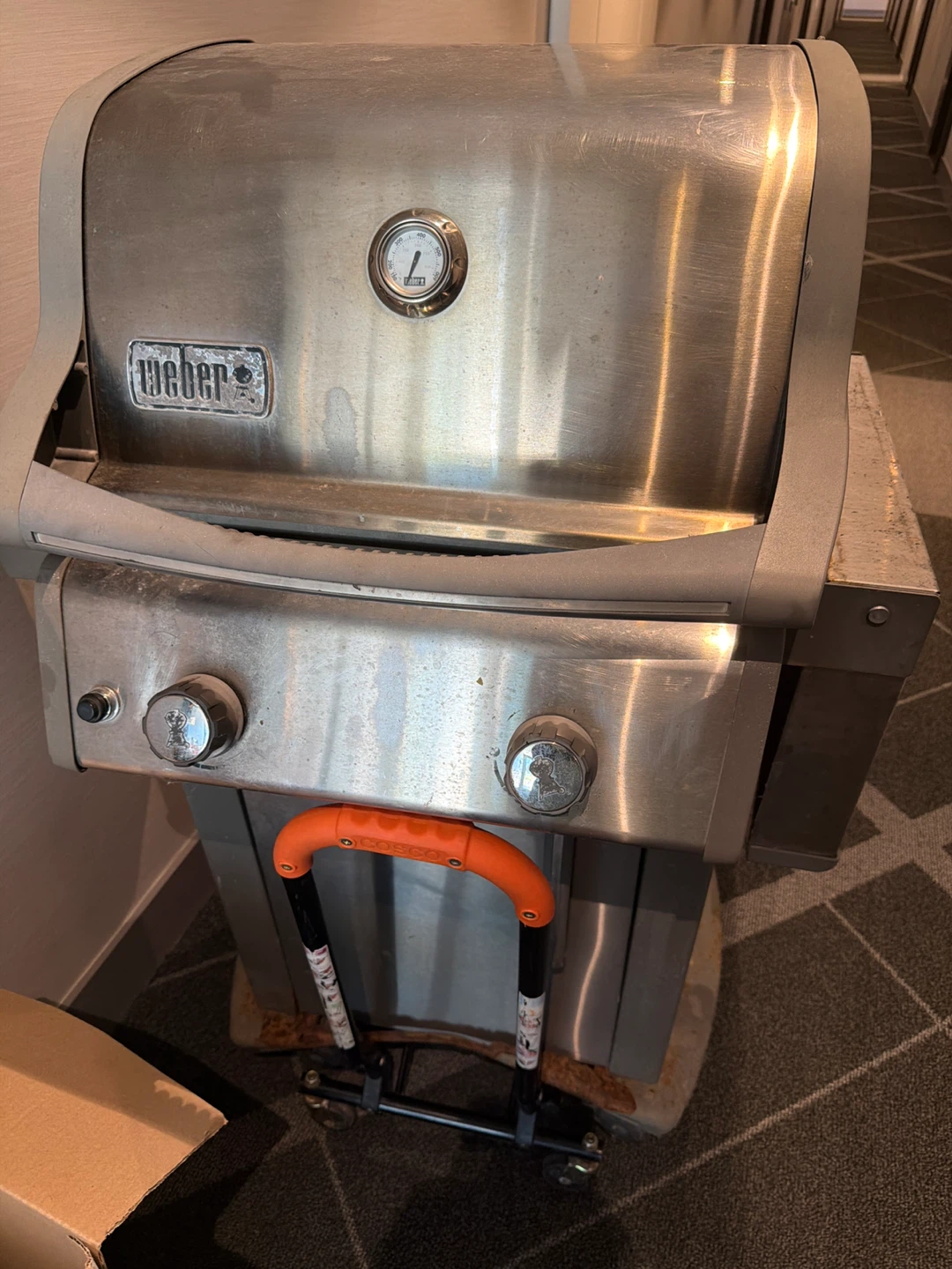 Weber Propane Grill