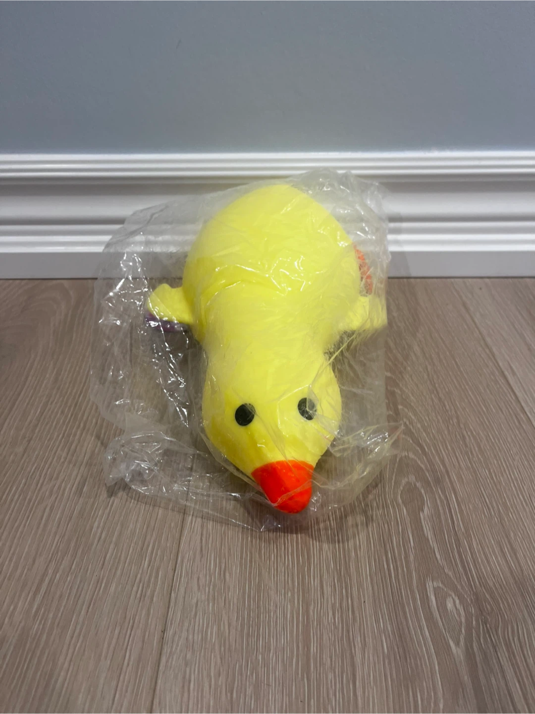 Viral Giant Duck Squishy