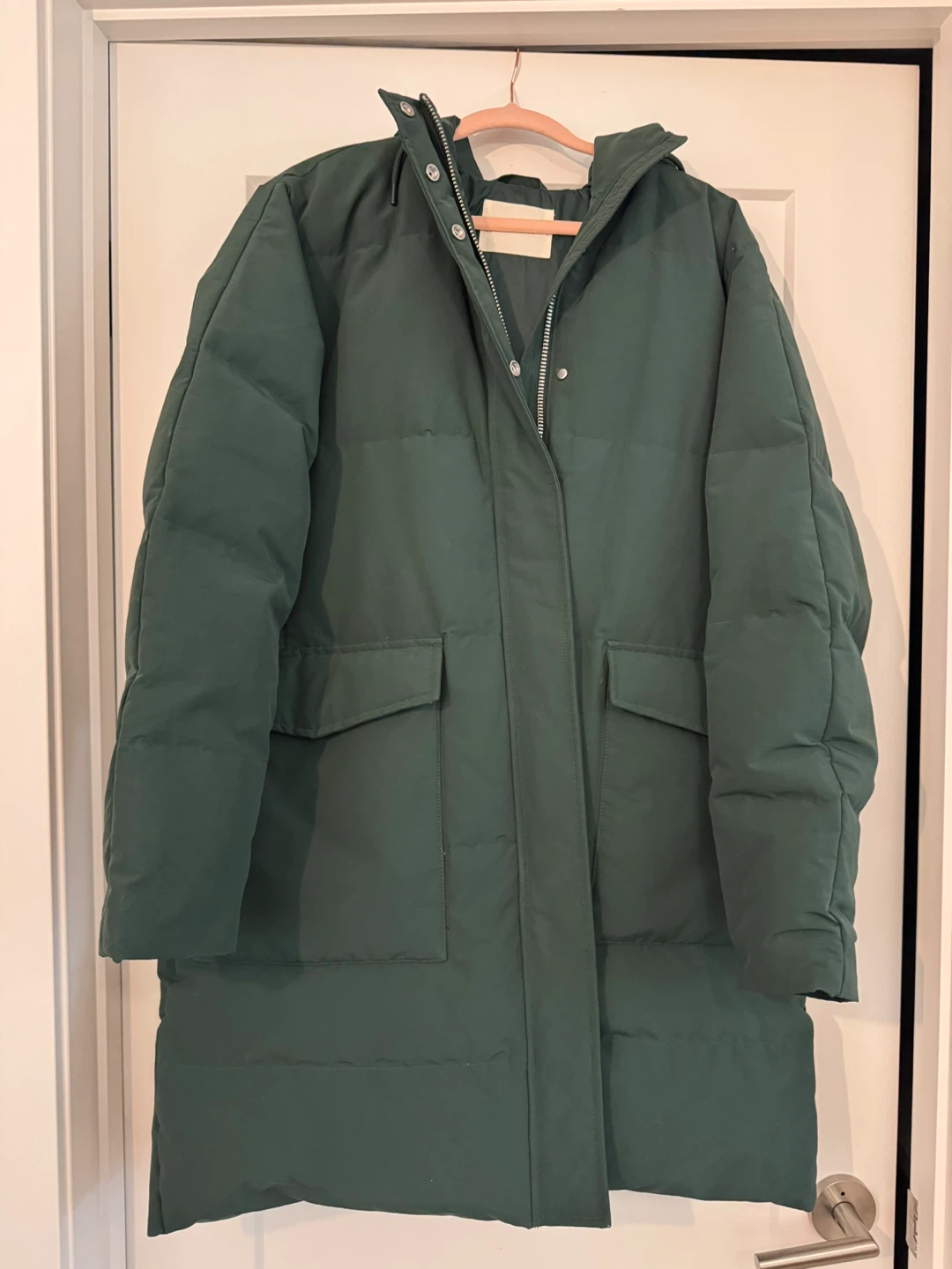 Everlane The Long Puffer