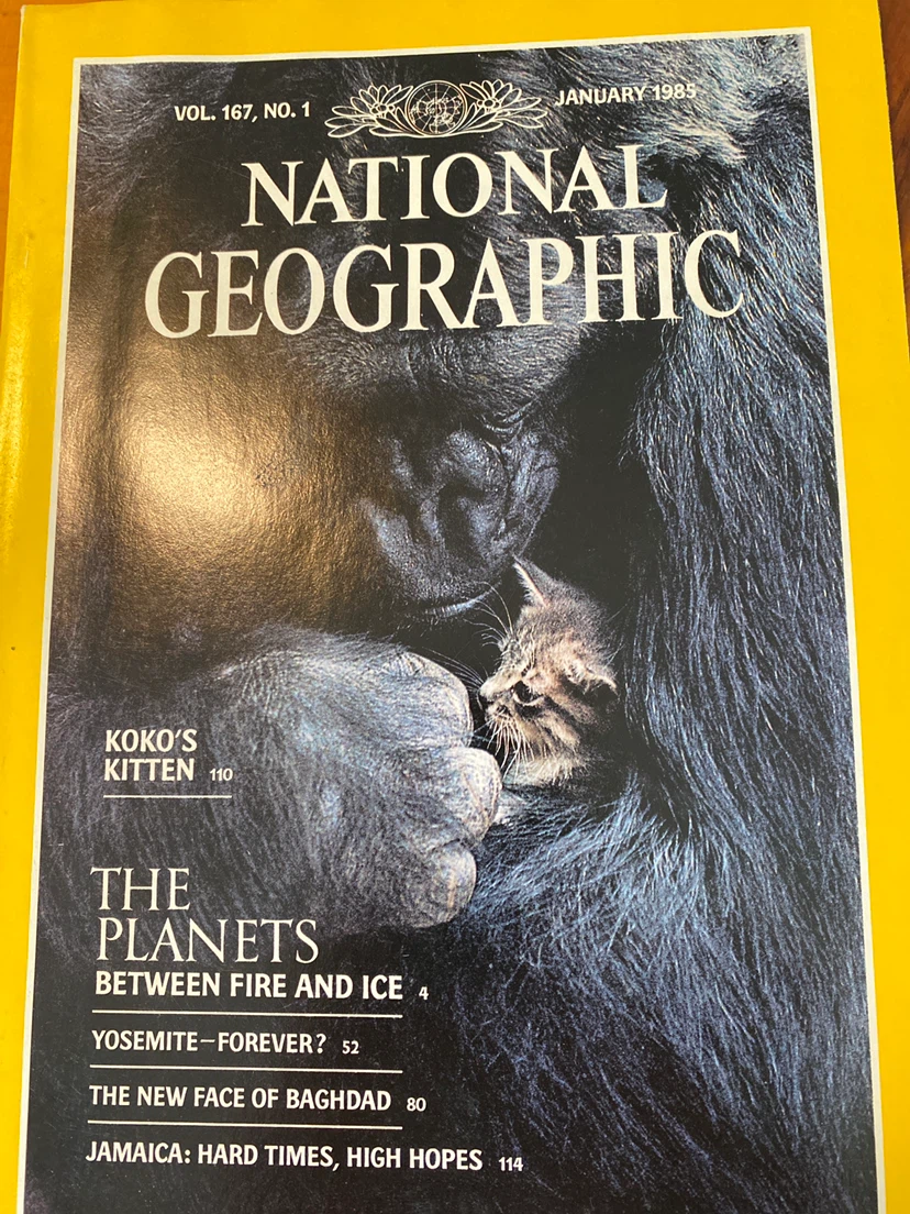 National Geographic Magazine Collection - 1985 Issues - photo 5